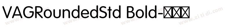 VAGRoundedStd Bold字体转换